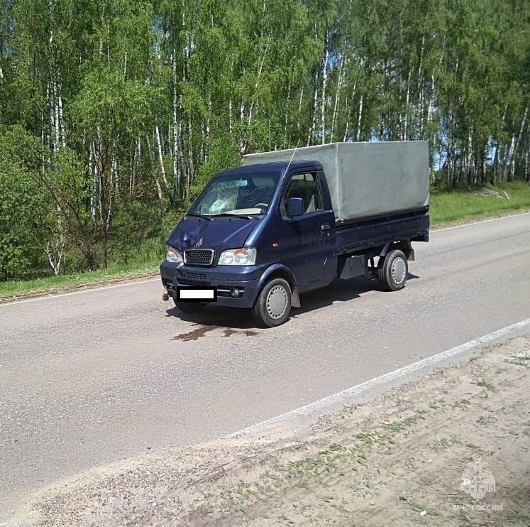 Спасатели МЧС принимали участие в ликвидации ДТП в Ферзиковском районе, д. Клишино